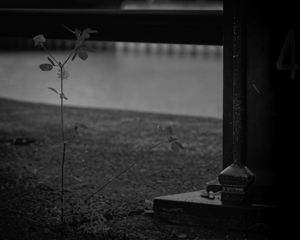 © Keita Hayasaka - Image from the Marebito photography project