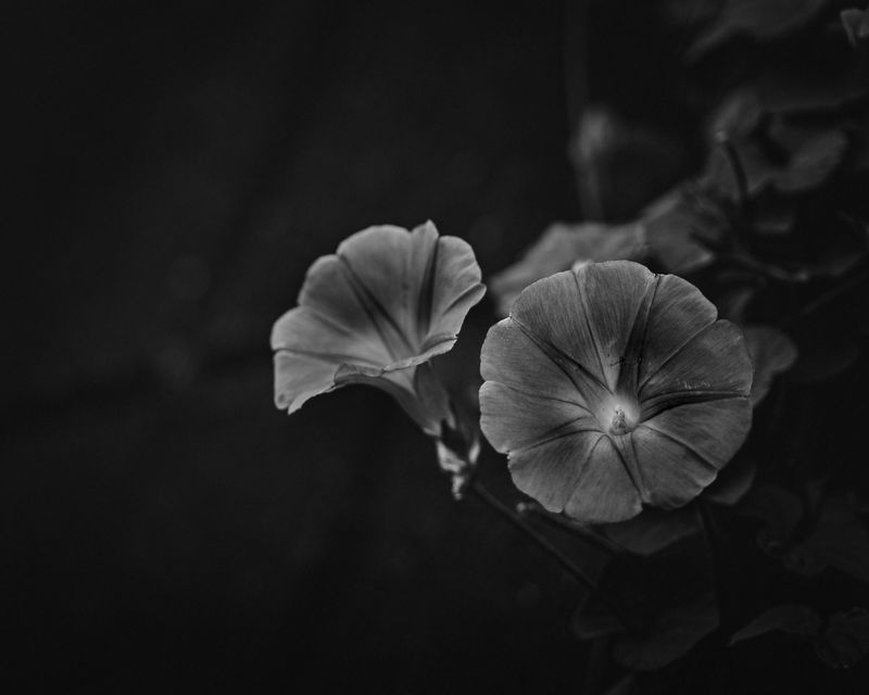 © Keita Hayasaka - Image from the Marebito photography project