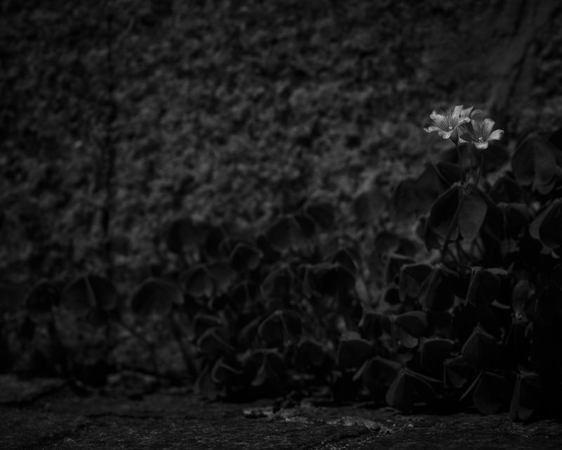 © Keita Hayasaka - Image from the Marebito photography project