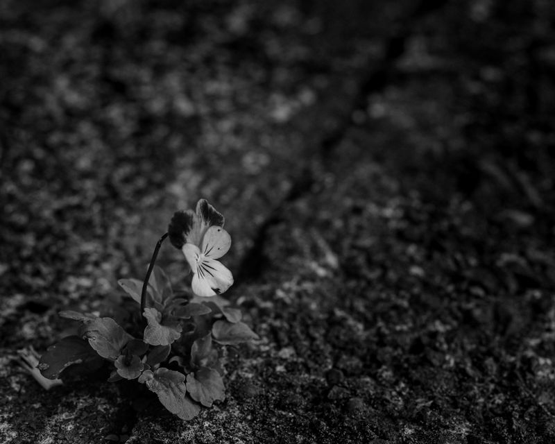 © Keita Hayasaka - Image from the Marebito photography project
