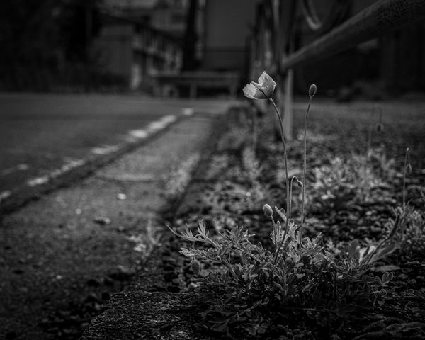 © Keita Hayasaka - Image from the Marebito photography project