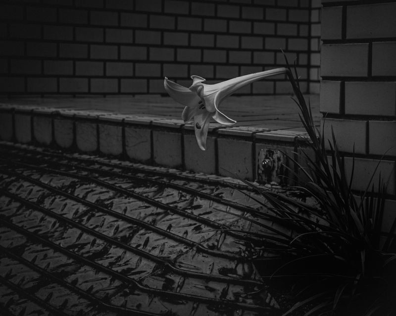 © Keita Hayasaka - Image from the Marebito photography project