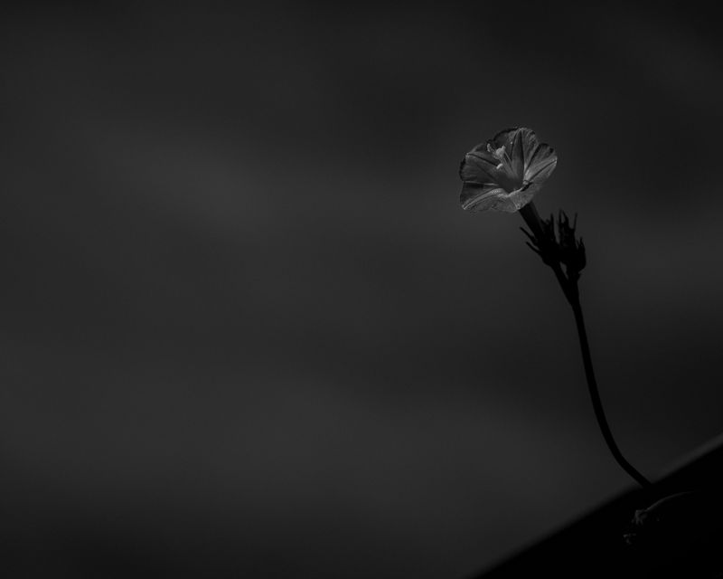 © Keita Hayasaka - Image from the Marebito photography project
