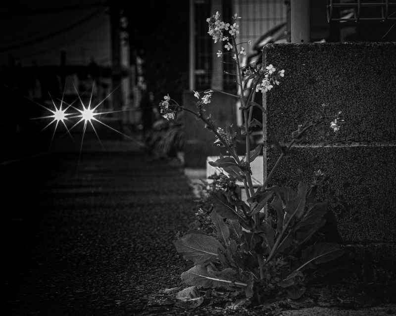 © Keita Hayasaka - Image from the Marebito photography project