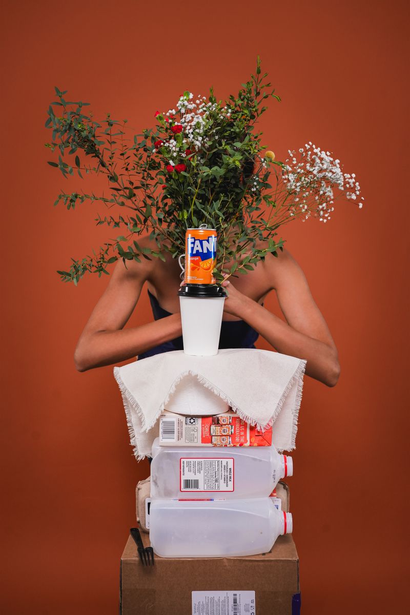 © Shail Joshi - Of Excess and Essential Three