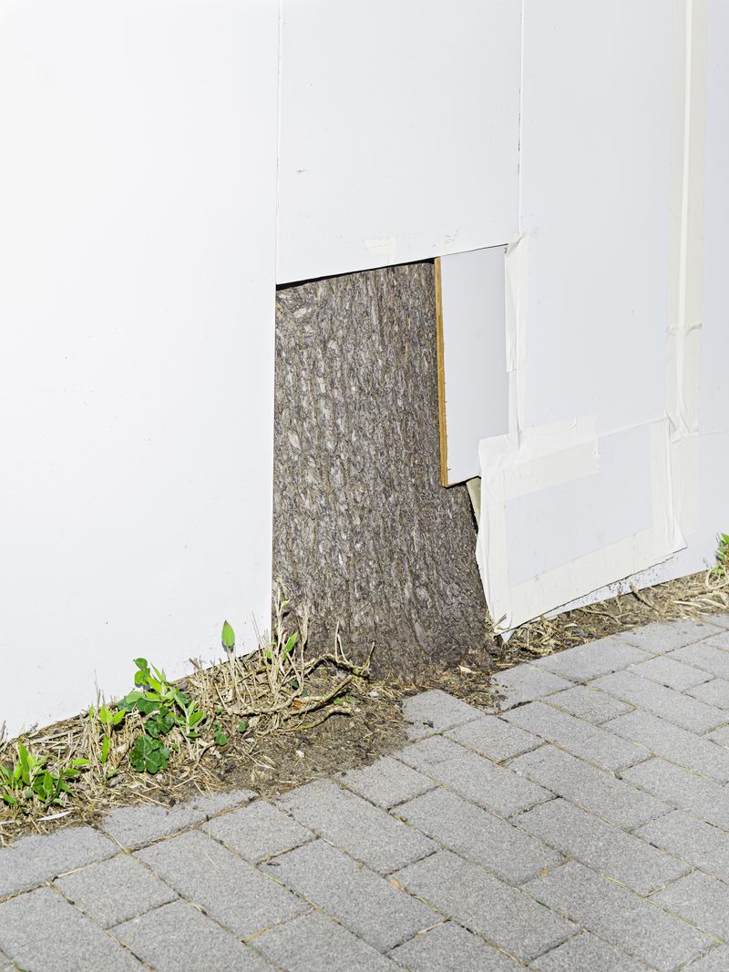© Sohei Nakanishi - Image from the Urban Paradise - neither inside nor outside photography project