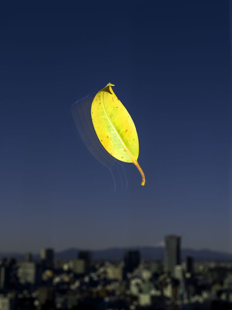 © Sohei Nakanishi - Image from the Urban Paradise - neither inside nor outside photography project
