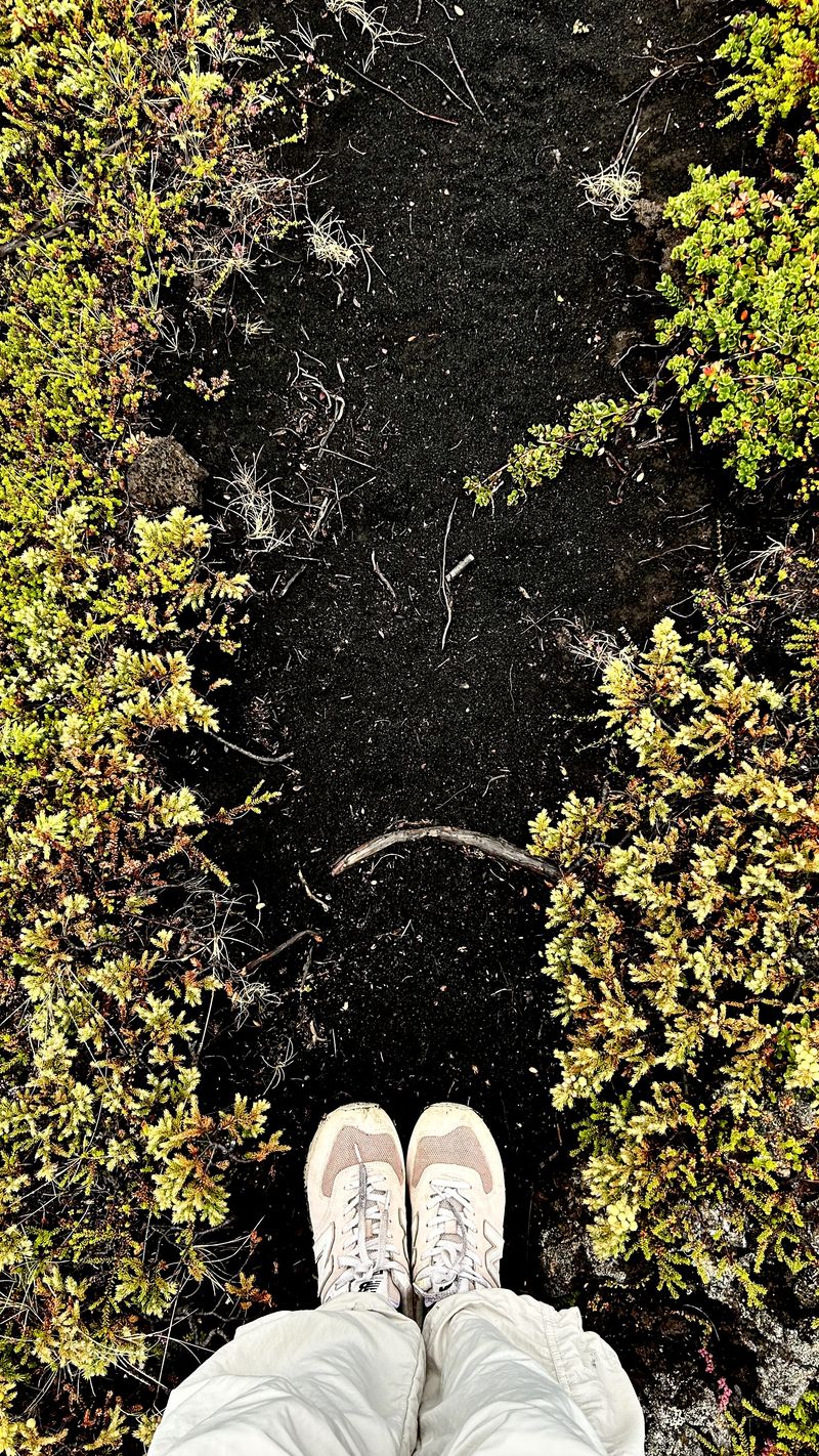 © Divyaa Paduvalli - Image from the The way finder photography project
