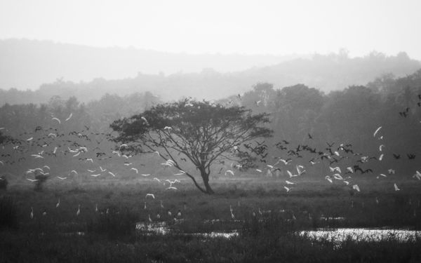 © Manjari Manoharan - Image from the Oasis. photography project