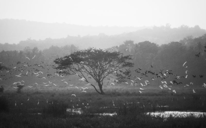 © Manjari Manoharan - Image from the Oasis. photography project