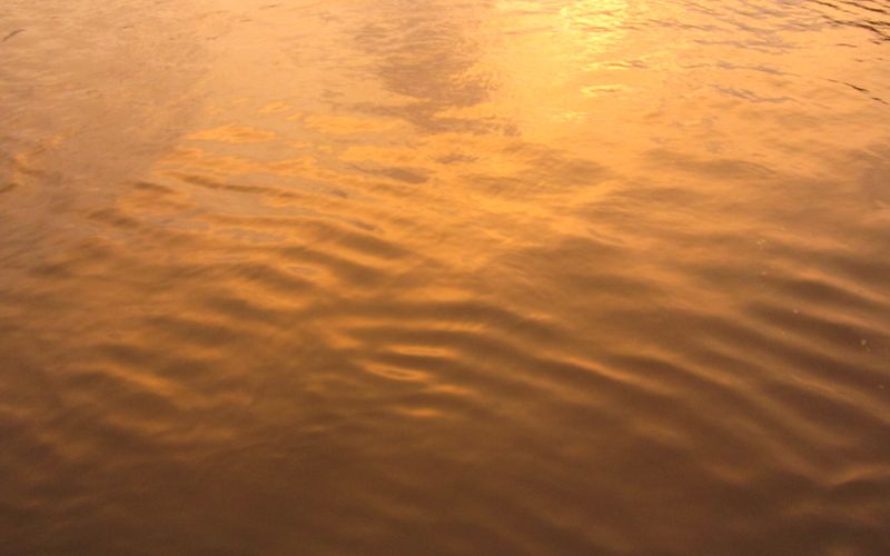 © Manjari Manoharan - Image from the Oasis. photography project
