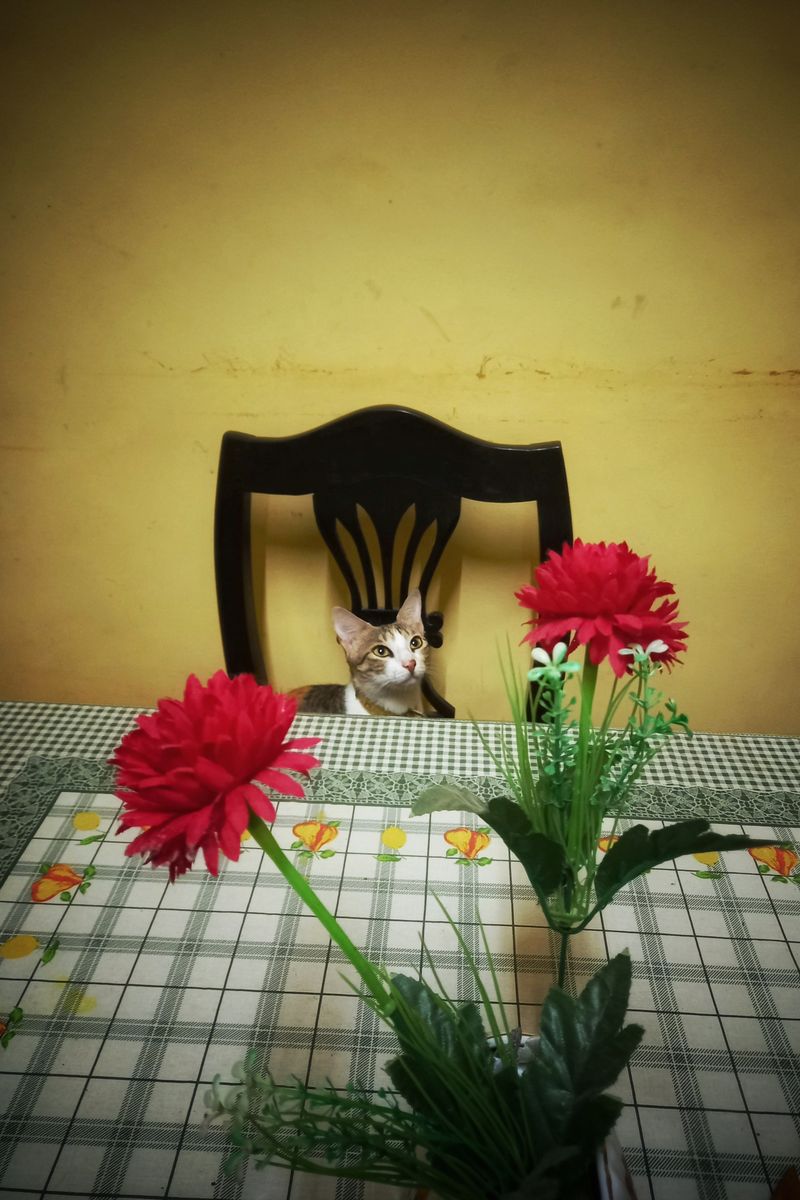 © Manjari Manoharan - Image from the Oasis. photography project