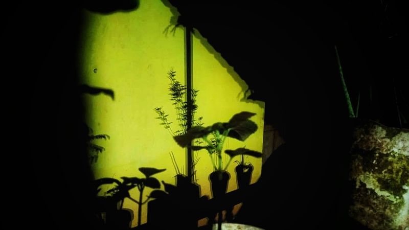 © Manjari Manoharan - Image from the Oasis. photography project