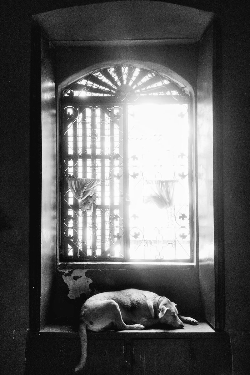 © Manjari Manoharan - Image from the Oasis. photography project