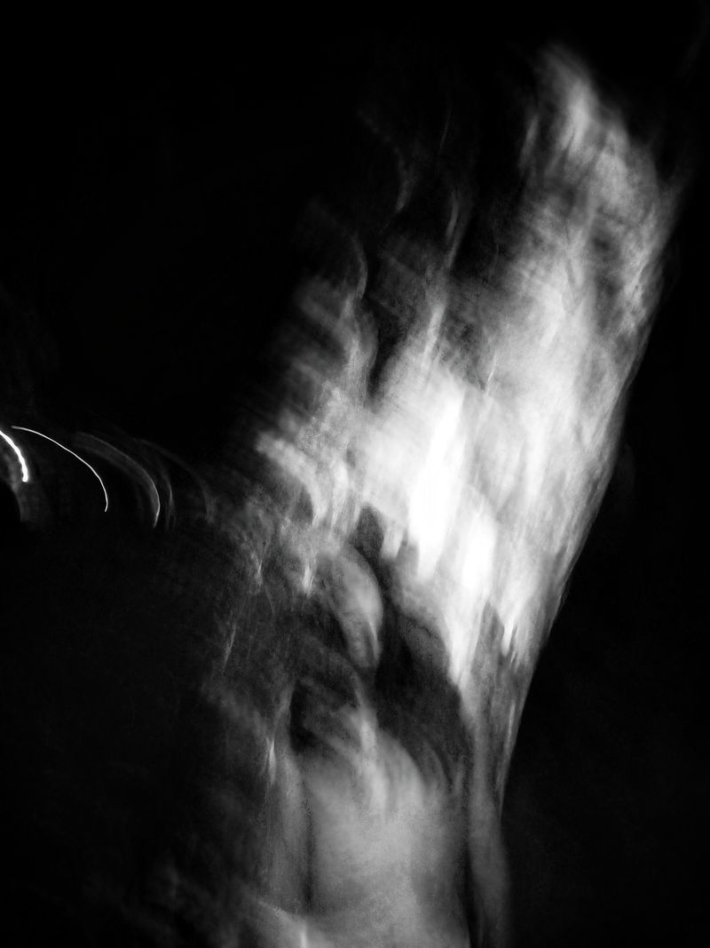 © Manjari Manoharan - Image from the Oasis. photography project