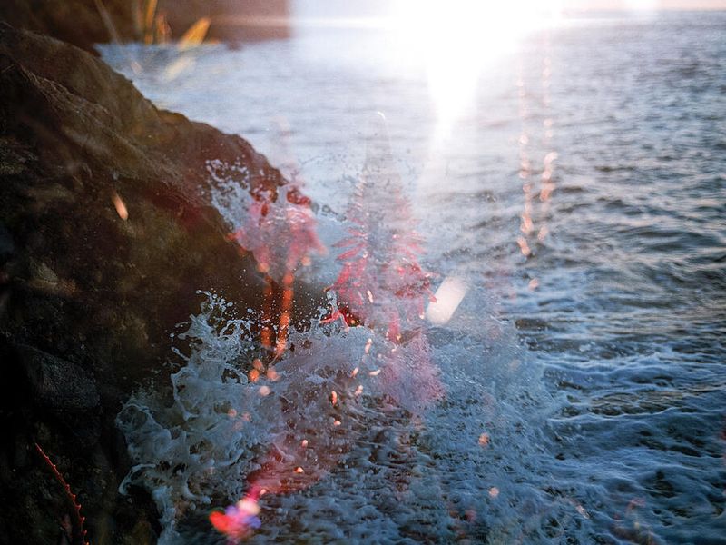 © Henry Plant x Fatum Poetry - Image from the WHERE THE LIGHT WAITS photography project