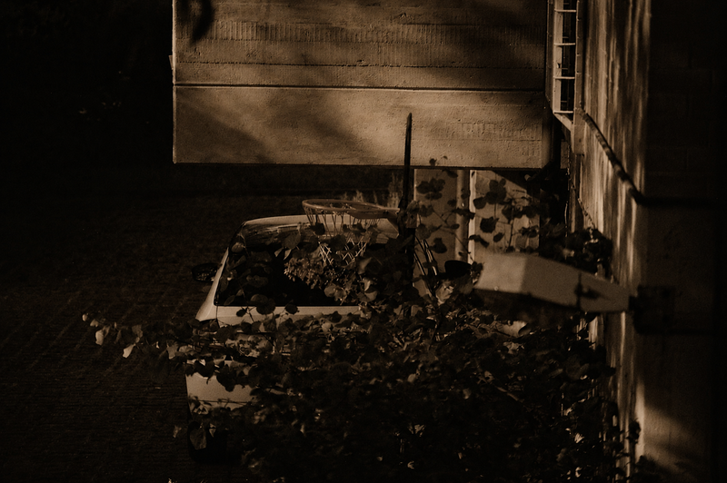© Martina Esculapi - Image from the POSSIBILITÁ photography project