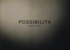 POSSIBILITÁ
