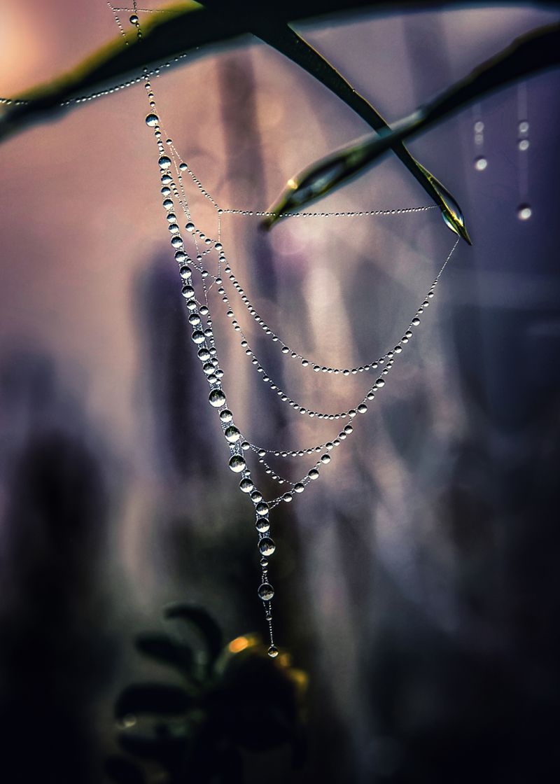 © Vladimir Shtyrikov - Image from the "Fantasies of the forest" photography project
