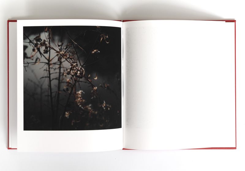 © Ava Margueritte - Image from the After Landfall photography project