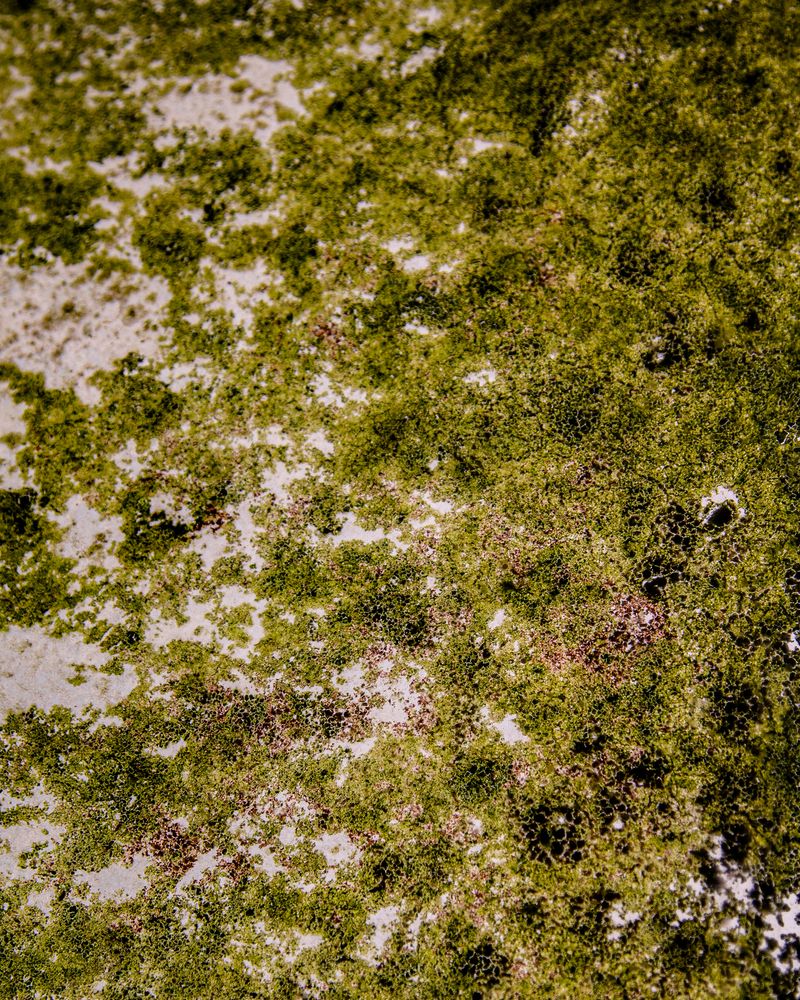 © Azeem - Image from the Maelstrom photography project