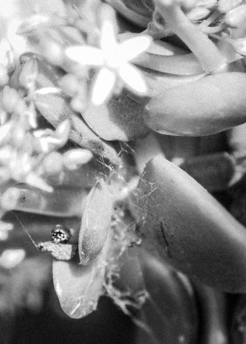 © Azeem - Image from the Maelstrom photography project