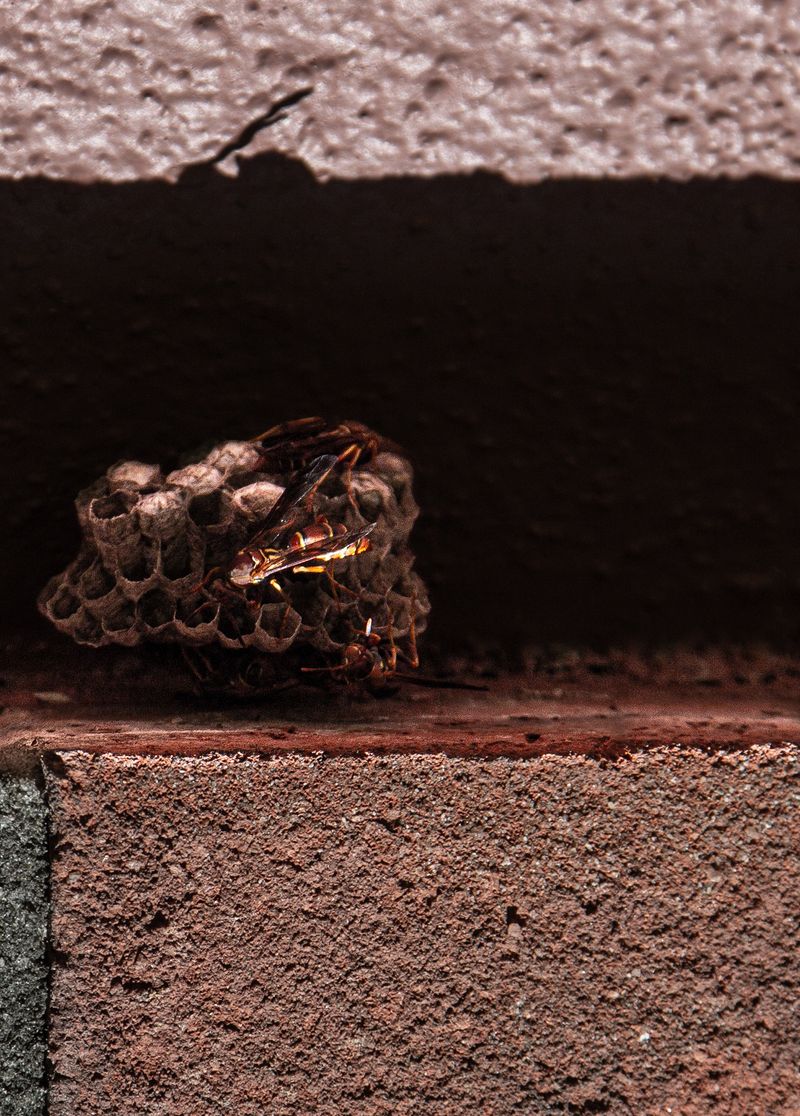 © Azeem - Image from the Maelstrom photography project