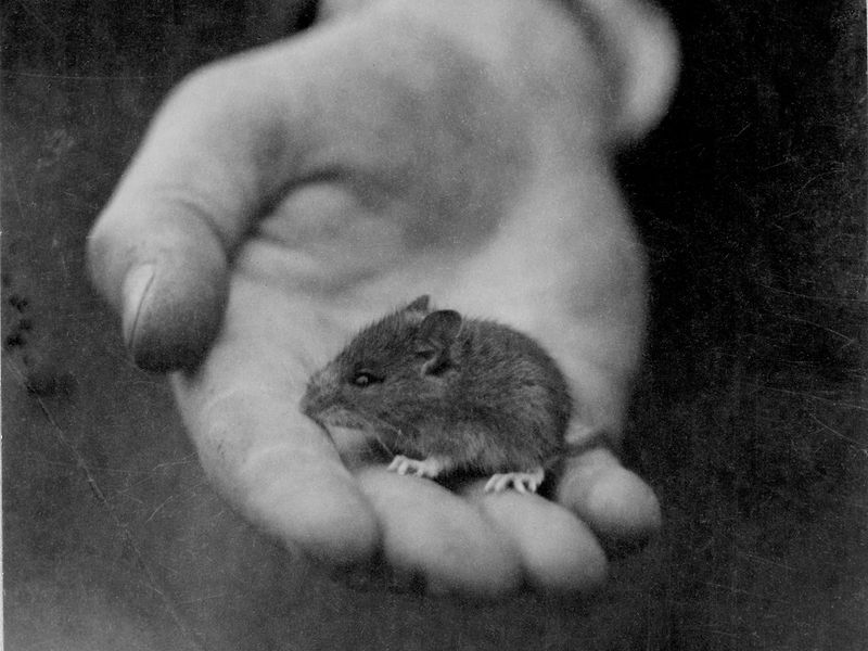 © Hasselblad Foundation