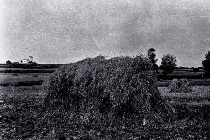 © Natalia Lazaro Prevost