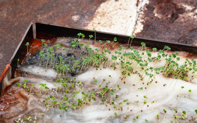 © Melike Kara Photo / Şirin Şimşik