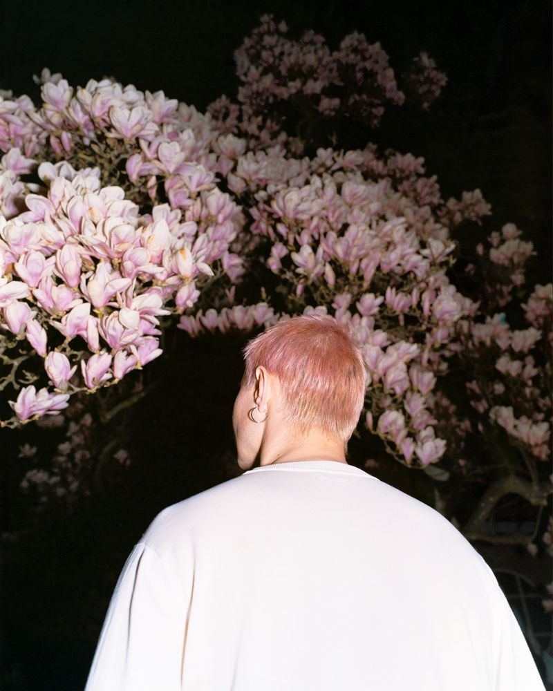 © Liv Burkhard - "Magnolia", If Not Here, Then Where, 2026