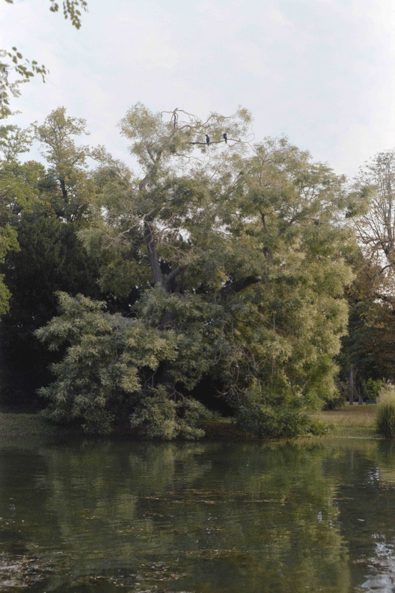 © Liv Burkhard - "In Pairs", If Not Here, Then Where, 2026