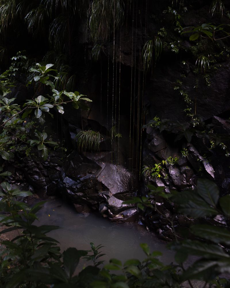 © Liv Burkhard - "Where We Began", If Not Here, Then Where, 2026