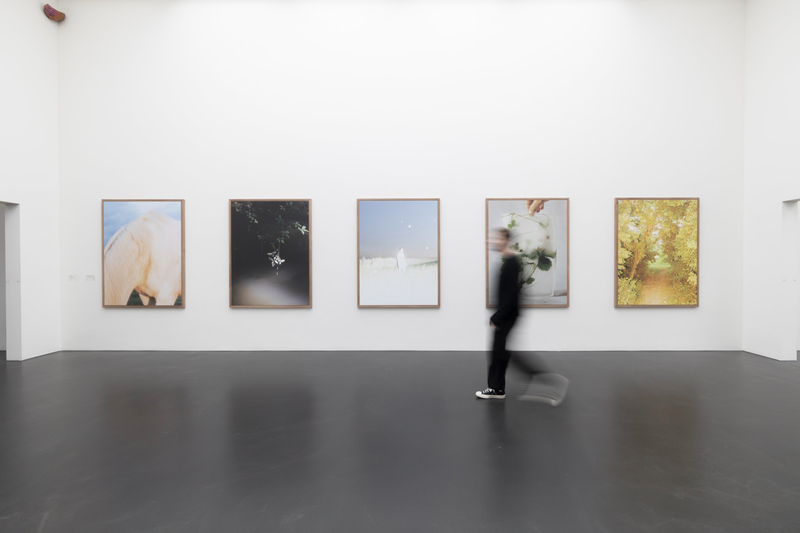 © Liv Burkhard - Rise To The Sun, Exhibition View at Zentral! 2023, Museum of Art Lucerne (Kunstmuseum Luzern)