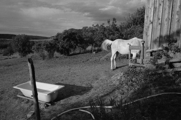 © Gergely Varga - Image from the Wandering Narrative photography project