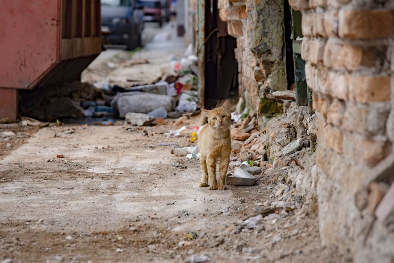 © Misha Wong - Still searching.