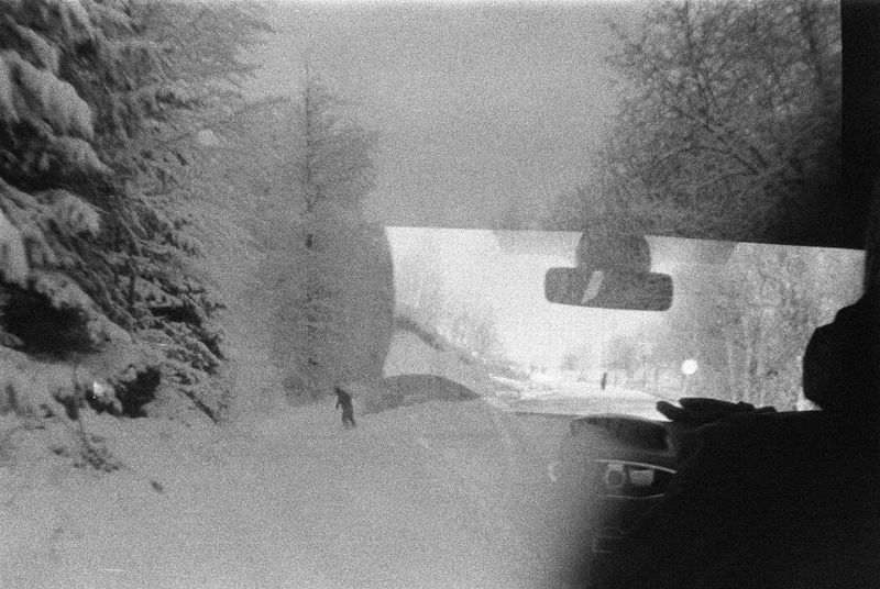 © Paulina Aleksić - Car