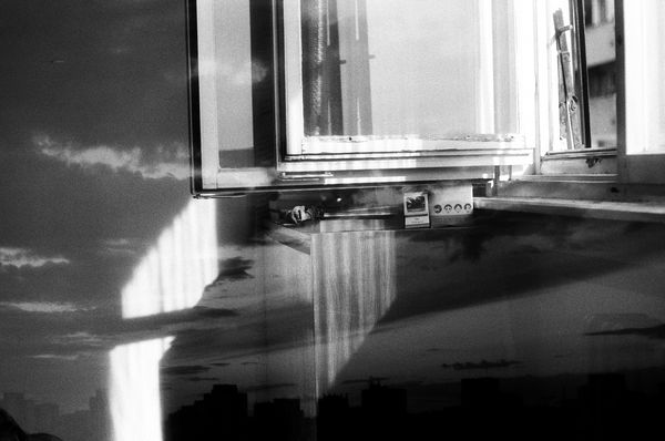 © Paulina Aleksić - Window