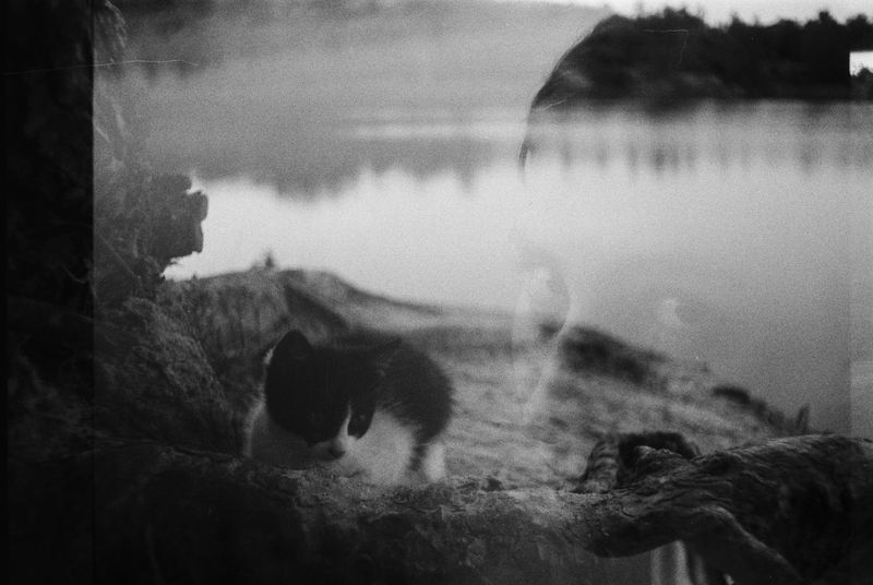 © Paulina Aleksić - Rgotsko 1
