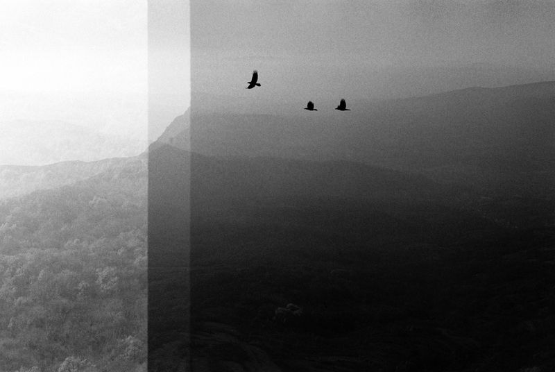 © Paulina Aleksić - Suva
