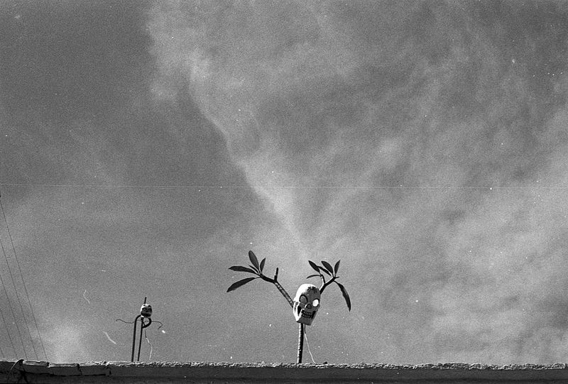 © Violz - Image from the Mexicano photography project