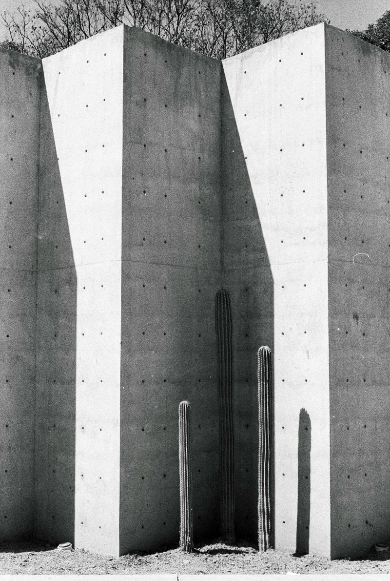 © Violz - Image from the Mexicano photography project