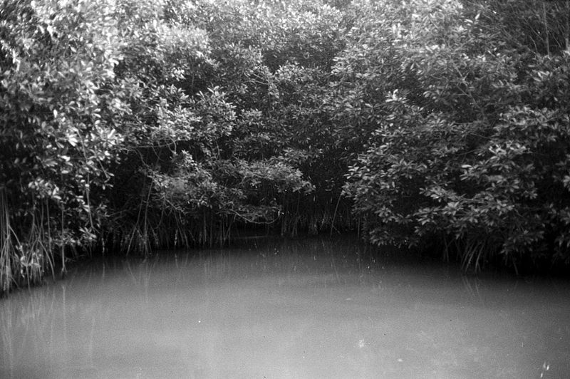 © Violz - Image from the Mexicano photography project