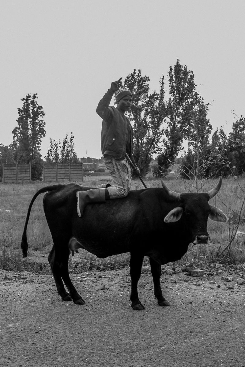 © Bonolo Tlholoe - Rough Ryder