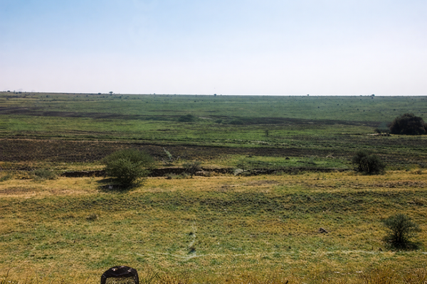 © Bonolo Tlholoe - R80 Land of the Free