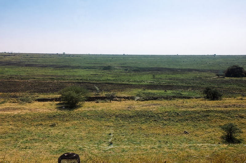 © Bonolo Tlholoe - R80 Land of the Free