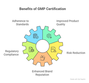 Certificación GMP