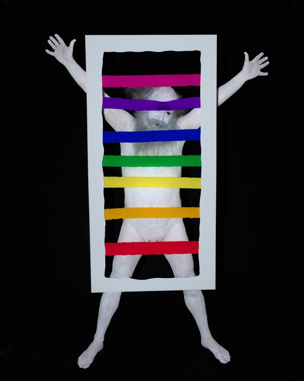 © David Oresic - Image from the I, in the Plural photography project