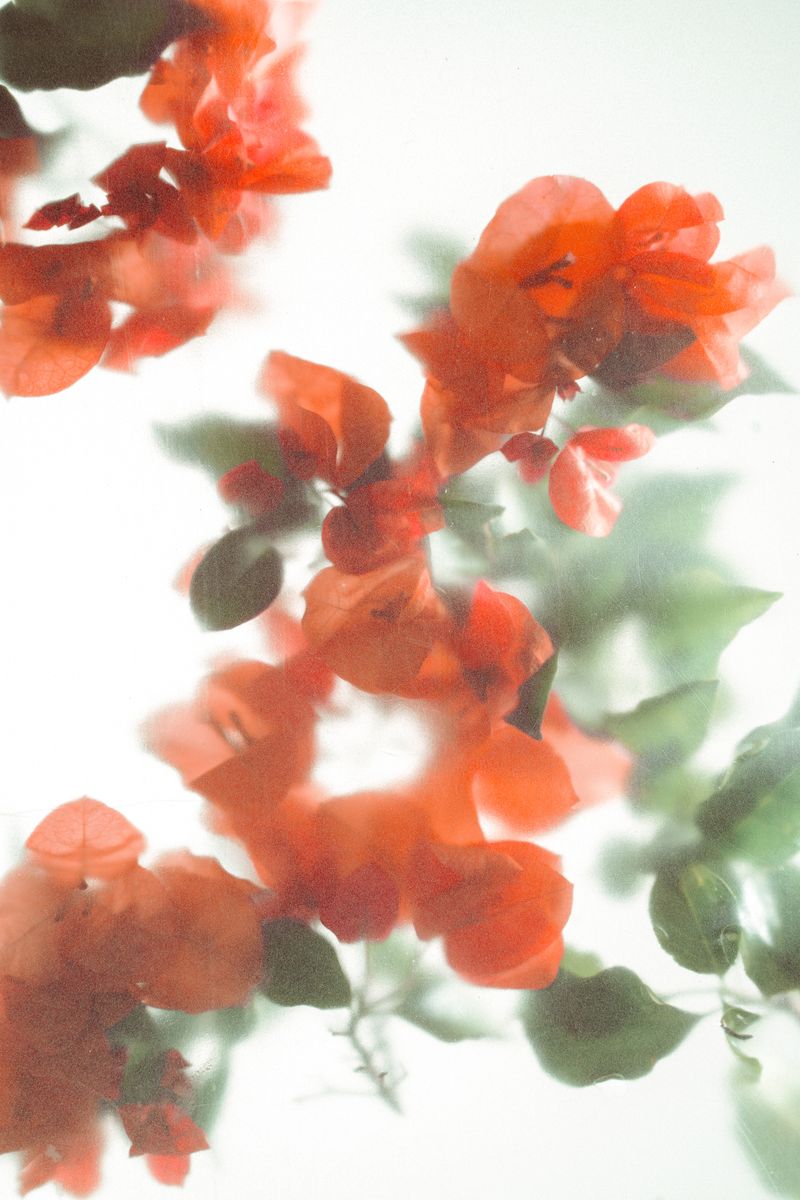 © Varel Quintero - Image from the Empacado photography project