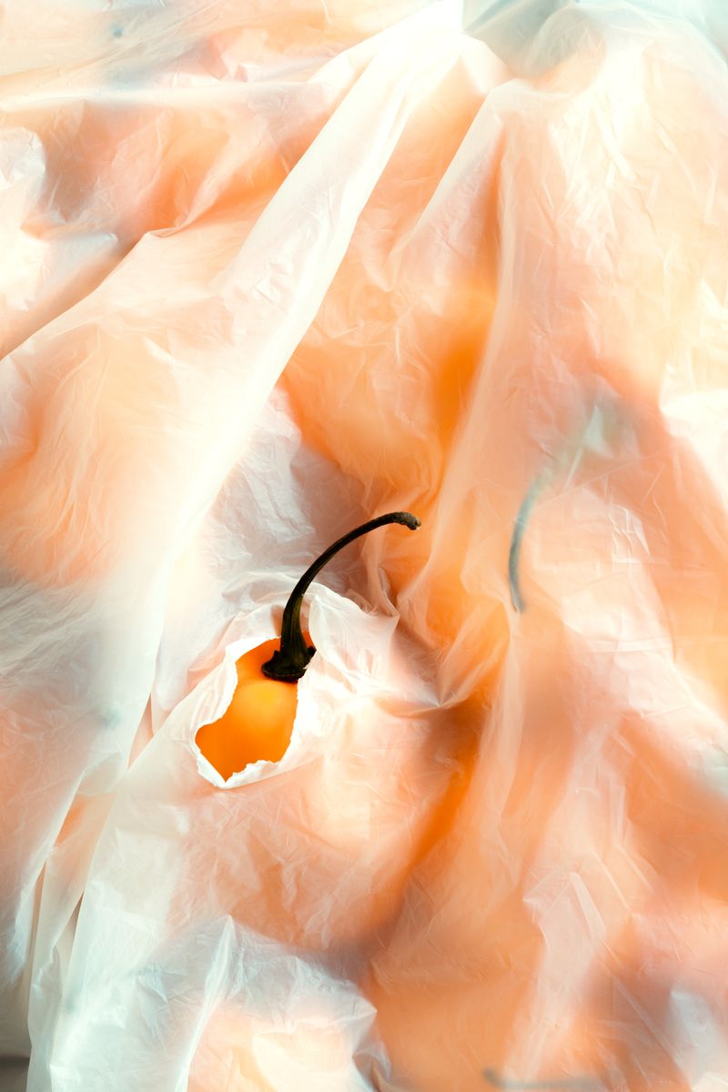 © Varel Quintero - Image from the Empacado photography project